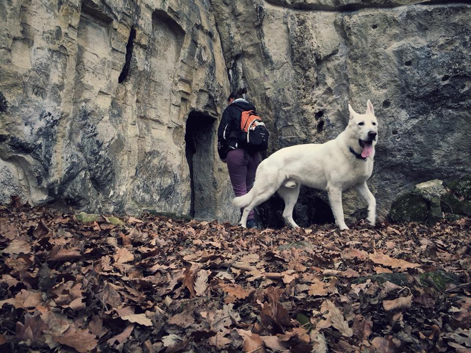 Planinarske akcije Epic