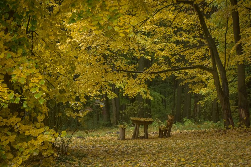 Planinarske akcije Epic