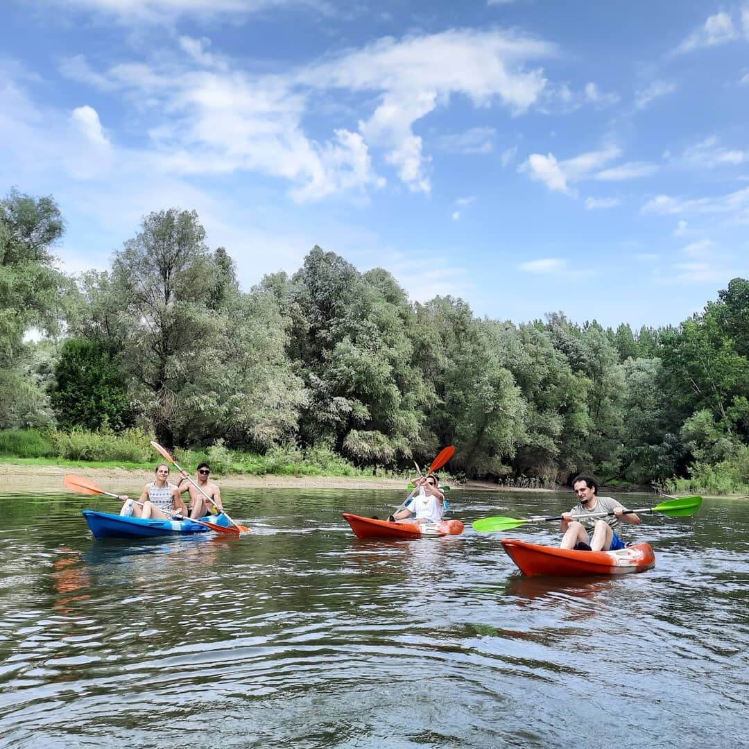 Kajak Tura Dunavom